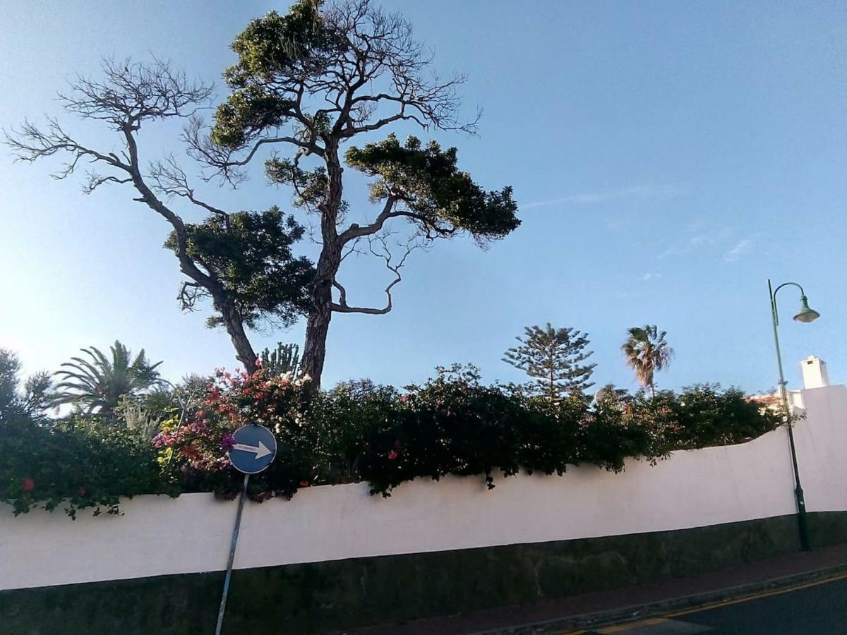 Canico Gardensea Apartman Kültér fotó